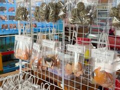 -蓝湾碧波·老字号·疍家非遗海上餐厅