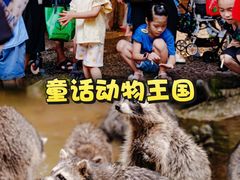 -长鹿旅游休博园
