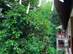 -大炮糯米凉虾(南坪后堡店)