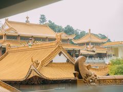 -深圳仙湖植物园-停车场