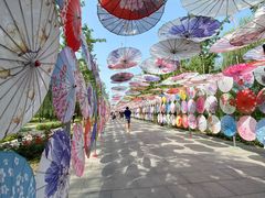 -野鸭湖国家湿地公园