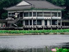 -荔湾湖公园