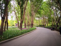 -长春公园(普阳街道)