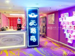 -天鹅恋