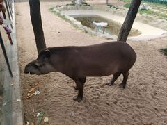 -西霞口神雕山野生动物世界