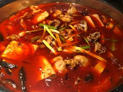 -宽口美蛙鱼头(大唐西市店)