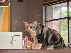 -咖法森林·咖啡  酒吧(天河店)