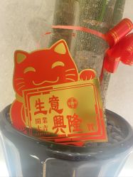 -幼泡泡连锁美容医疗
