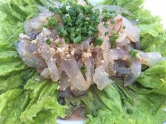 -越海渔村