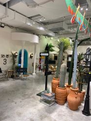 -好看加白色房子