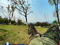 -铁山坪森林公园