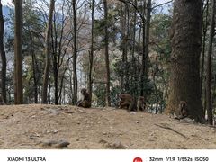 -黔灵山公园