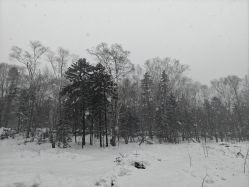 -大秃顶子山(雪谷店)