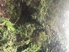 iphone_upload_pic-雾灵西峰