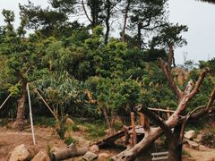 -宁波野生动物园