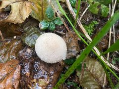 -白草畔自然风景区