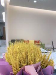 -禾美嘉医疗美容
