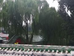 -管氏翅吧(地安门创始店)