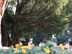 -陈家祠堂-游客中心