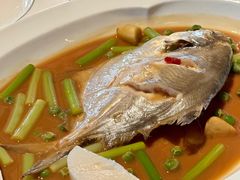 鲳鱼烧年糕-新荣记(新源南路店)