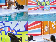 -南昌海洋公园
