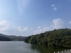 -佛手湖郊野公园