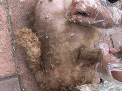 -畜牧兽医站(共江路店)