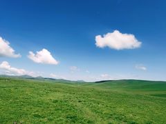 -郭莽湿地
