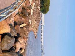 -上海吴淞炮台湾国家湿地公园