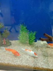 -西安市儿童医院门诊