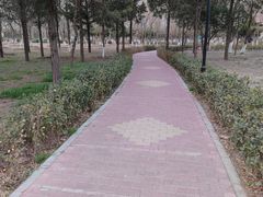 -庄怡公园