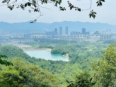 -大奇山国家森林公园