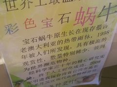 -北戴河圣蓝海洋公园