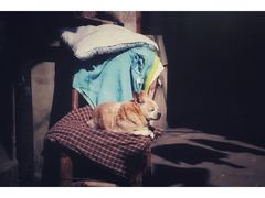 -江宁路街道社区文化活动中心