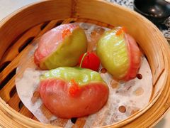 -点都德·毕德寮
