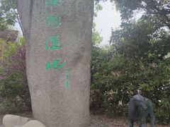 -溱湖国家湿地公园