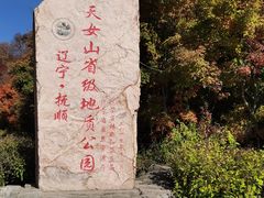 -天女山森林公园