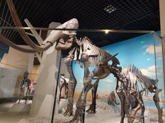 -国家自然博物馆