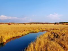 -塞罕坝国家级自然保护区