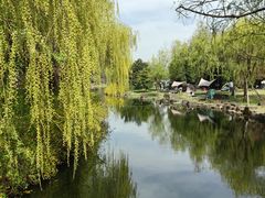 -上海滨江森林公园