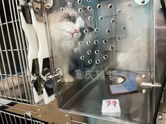 -贝利宠物医院·骨科·眼科·肿瘤转诊中心(南坪诊疗中心)