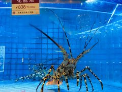 -协成海鲜火锅(情侣路店)