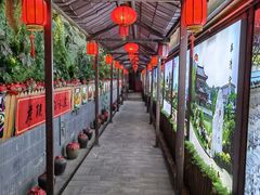 -窄巷子陕菜馆·地道陕西菜(粉巷店)