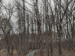 -野鸭湖国家湿地公园