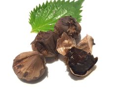 -新天世纪中餐厅