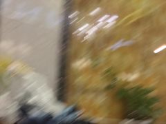 -湘约东方(民星路店)