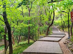 -虞山风景区
