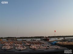-大湾区中央湿地公园-十九涌
