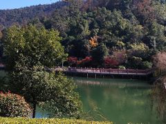 -桃花岭景区