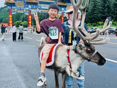 -塞罕坝国家级自然保护区